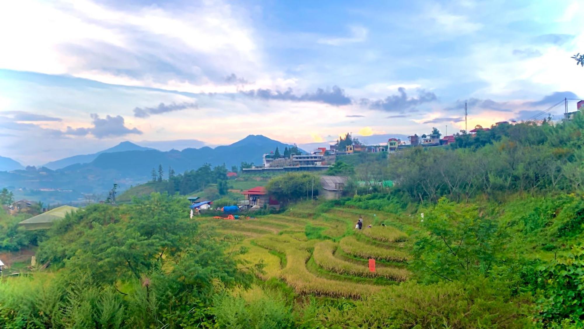 Pea Homestay Sa Pa Ngoại thất bức ảnh