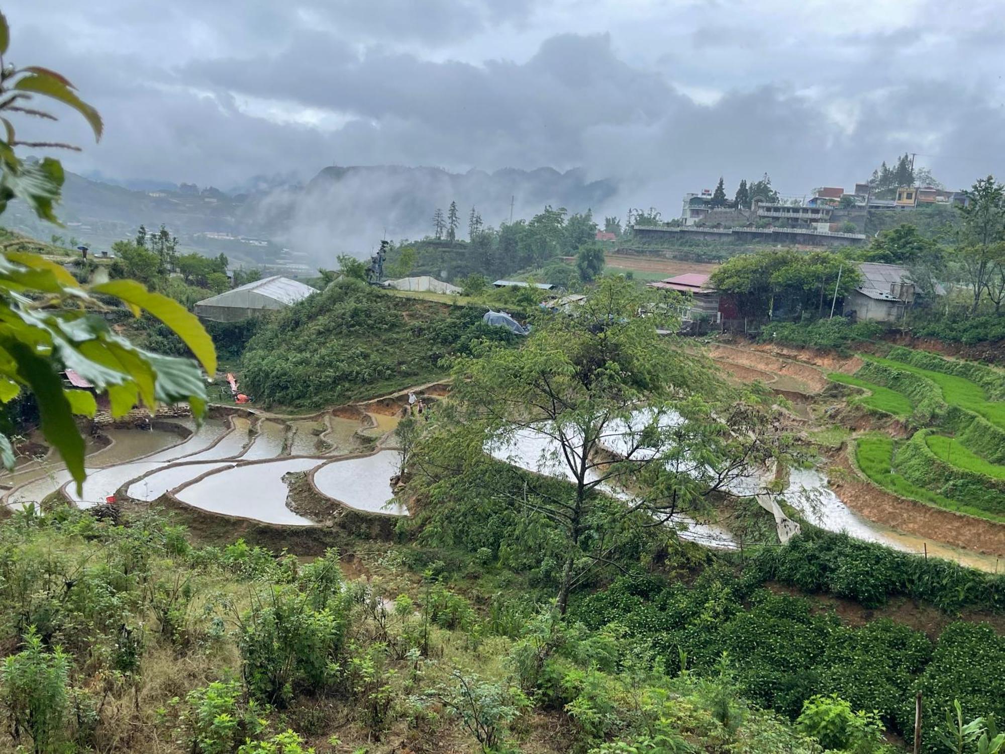 Pea Homestay Sa Pa Ngoại thất bức ảnh