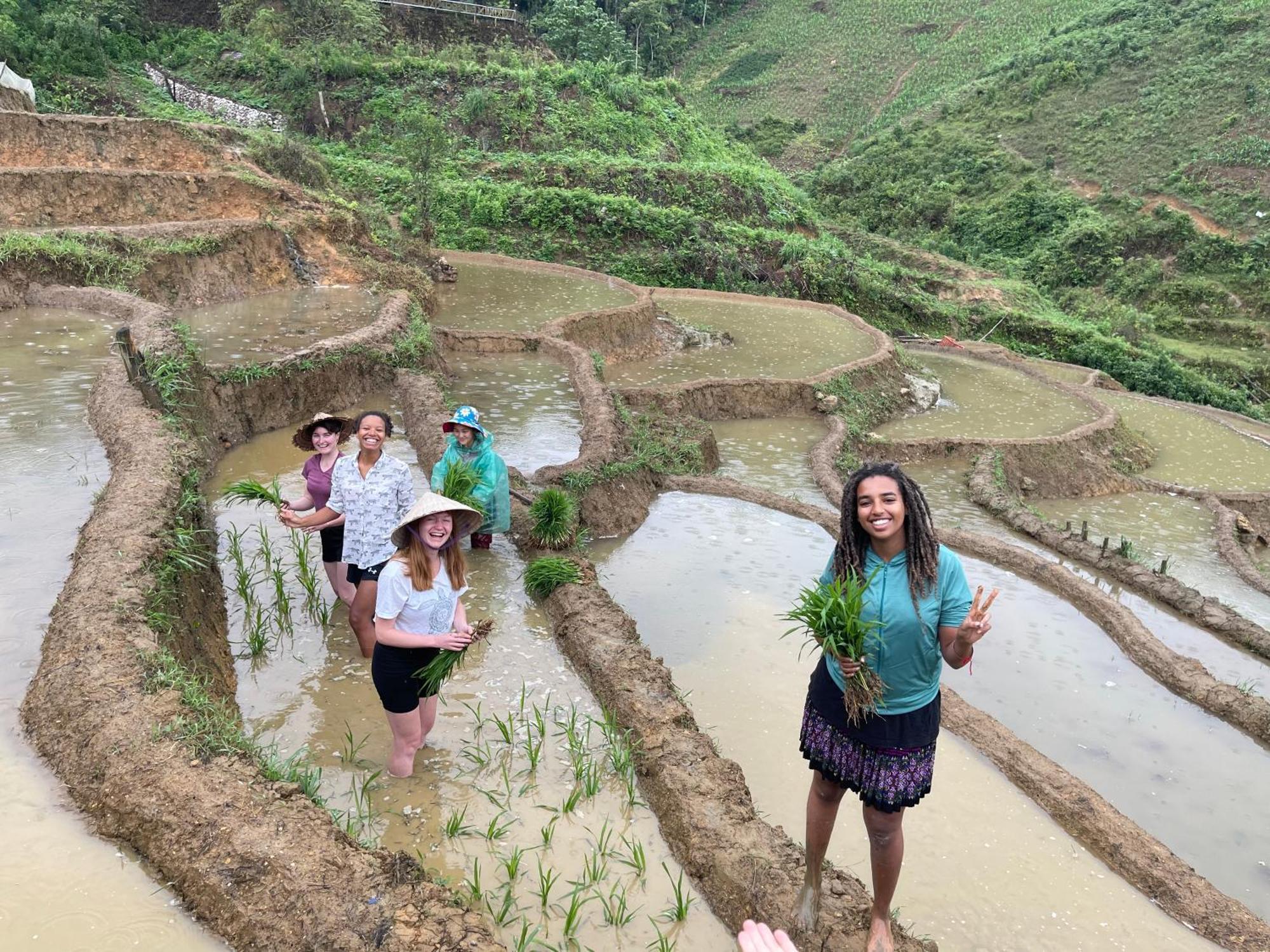 Pea Homestay Sa Pa Ngoại thất bức ảnh