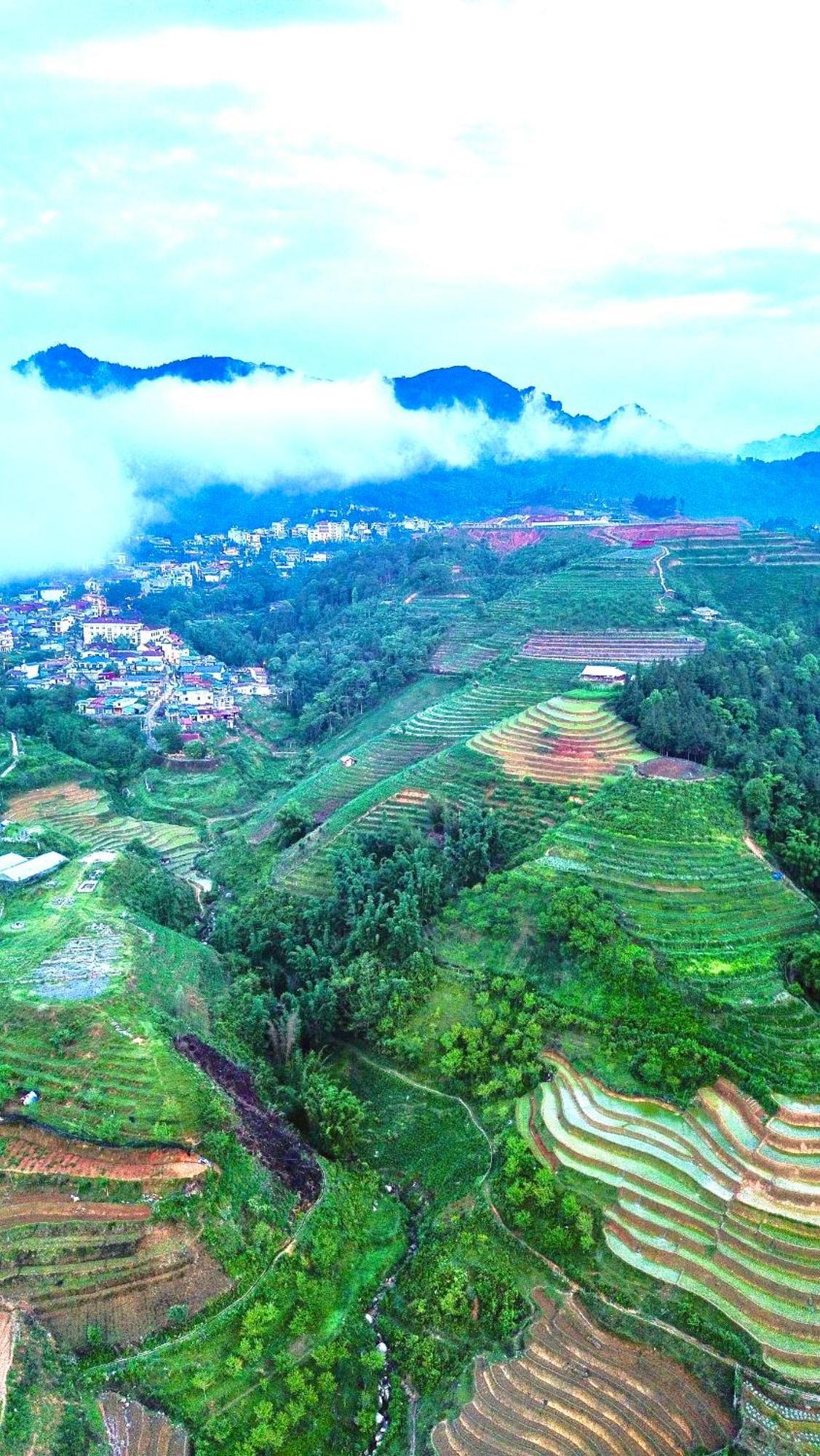 Pea Homestay Sa Pa Ngoại thất bức ảnh