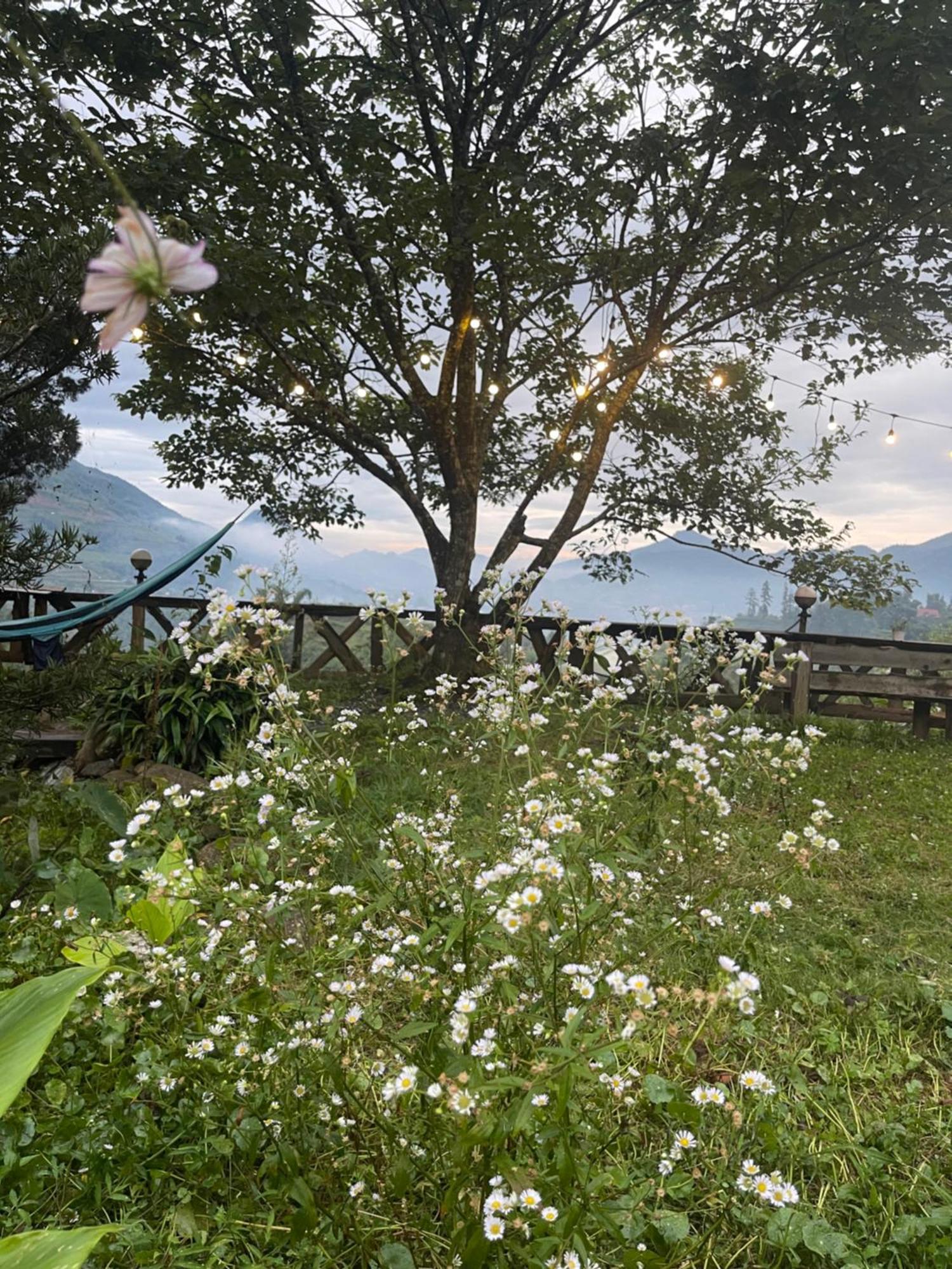 Pea Homestay Sa Pa Ngoại thất bức ảnh